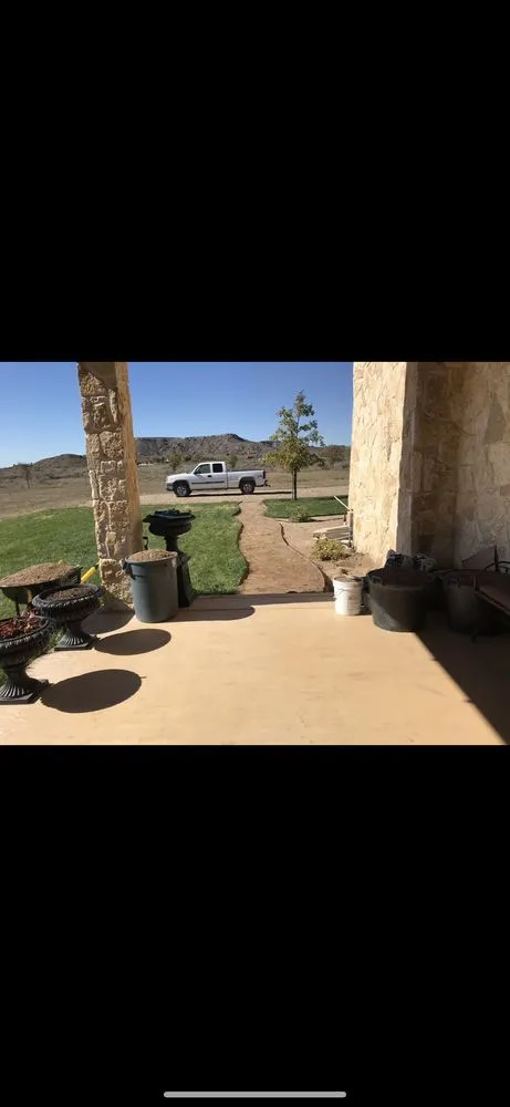 Expert yard cleanup service experts serving Dallas, TX - Mitchell Mowing