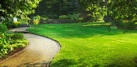 Custom landscape installation experts serving Trumbauersville, PA - Mitchell Outdoor Services