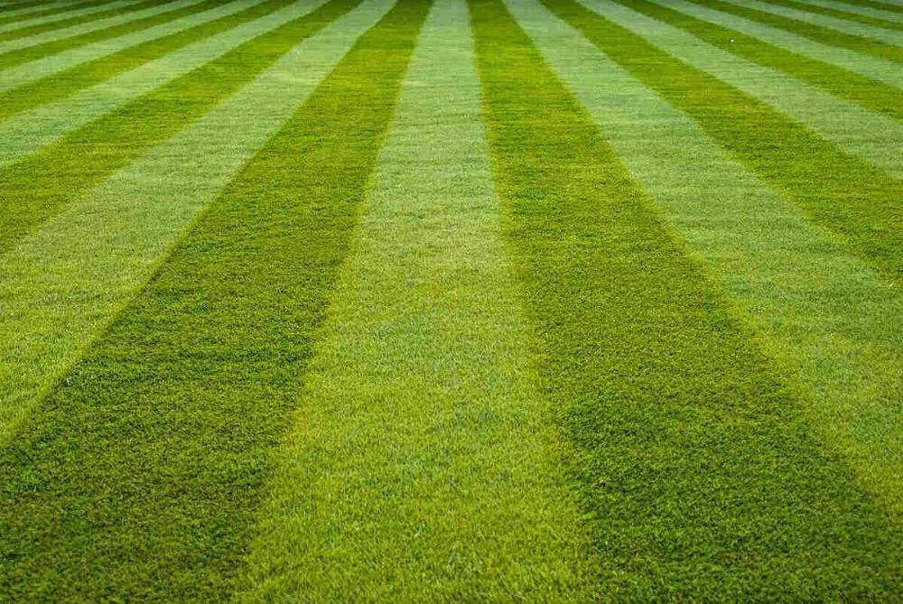 Trusted garden landscaping experts serving Trumbauersville, PA - Mitchell Outdoor Services