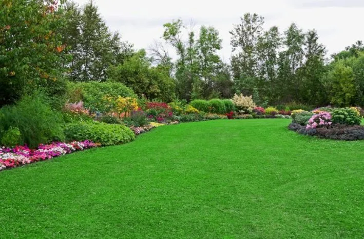Custom landscaping services experts serving Trumbauersville, PA - Mitchell Outdoor Services