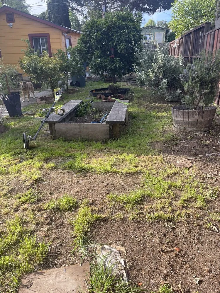 Top-rated garden landscaping in American Canyon, CA - Mitchell’s Landscaping