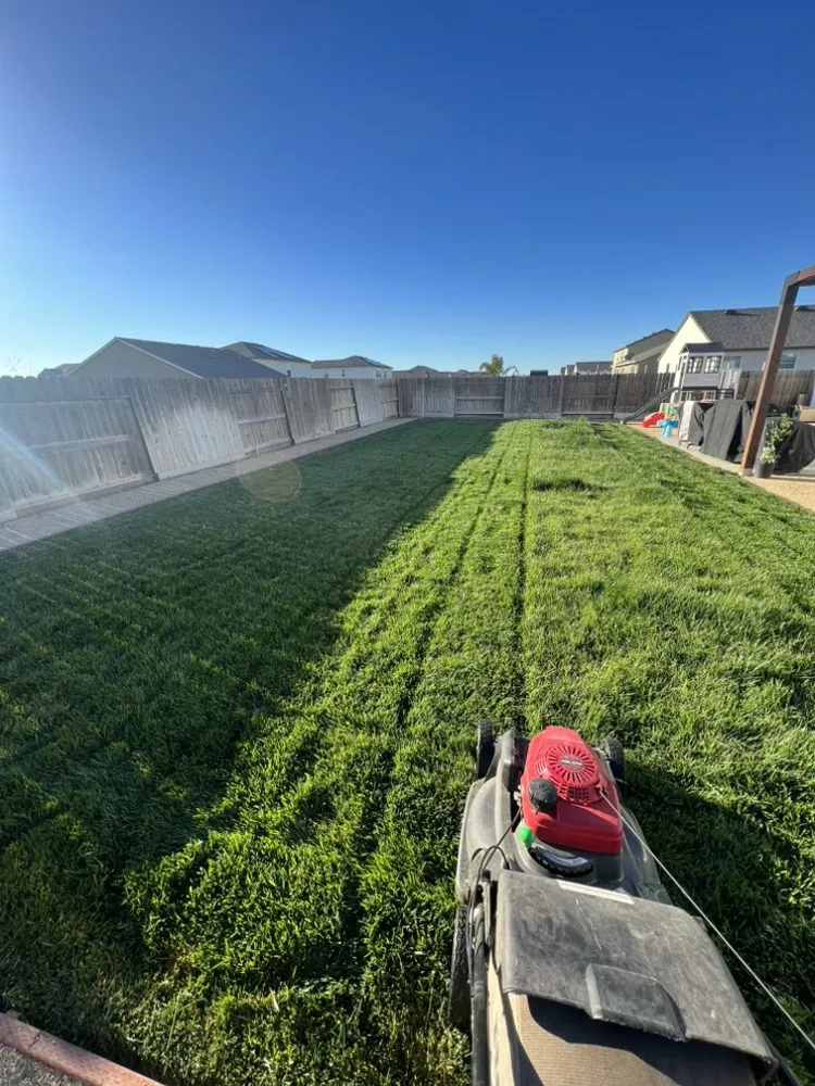 Affordable garden landscaping near you across American Canyon, CA - Mitchell’s Landscaping