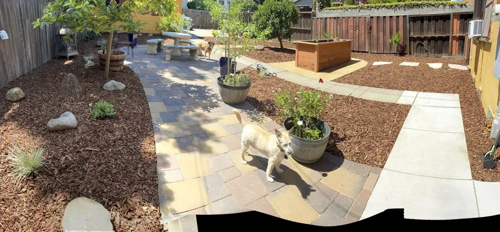 Local yard cleanup service experts serving American Canyon, CA - Mitchell’s Landscaping