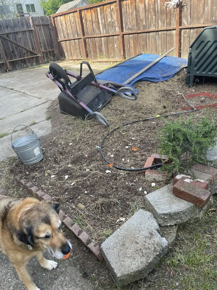 Local yard maintenance experts serving American Canyon, CA - Mitchell’s Landscaping