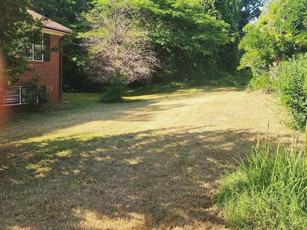 Expert lawn care service in Bassett, VA - Mitchell's Lawn Care