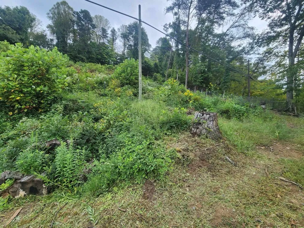 Reliable residential landscaping for residential properties across Bassett, VA - Mitchell's Lawn Care