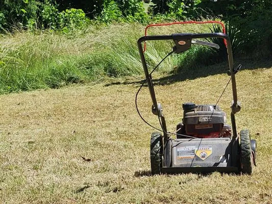 Mitchell's Lawn Care