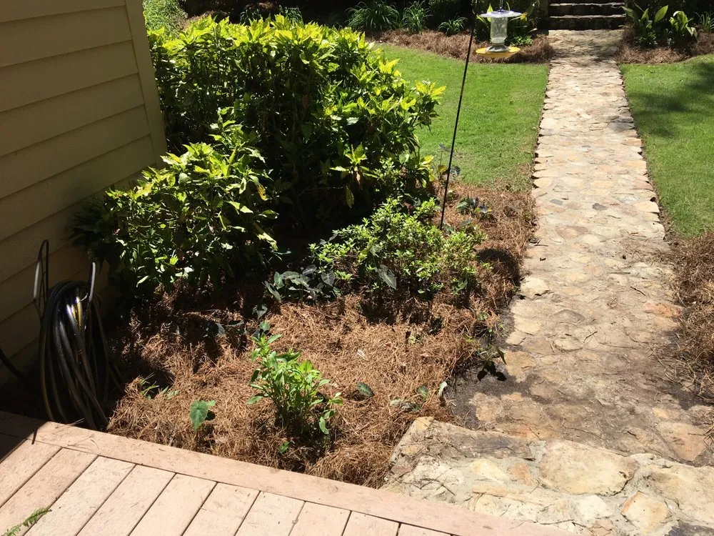 Reliable yard cleanup service in Salem, AL - Mitchell's Lawn Care