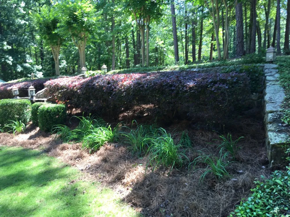 Professional residential landscaping in Salem, AL - Mitchell's Lawn Care