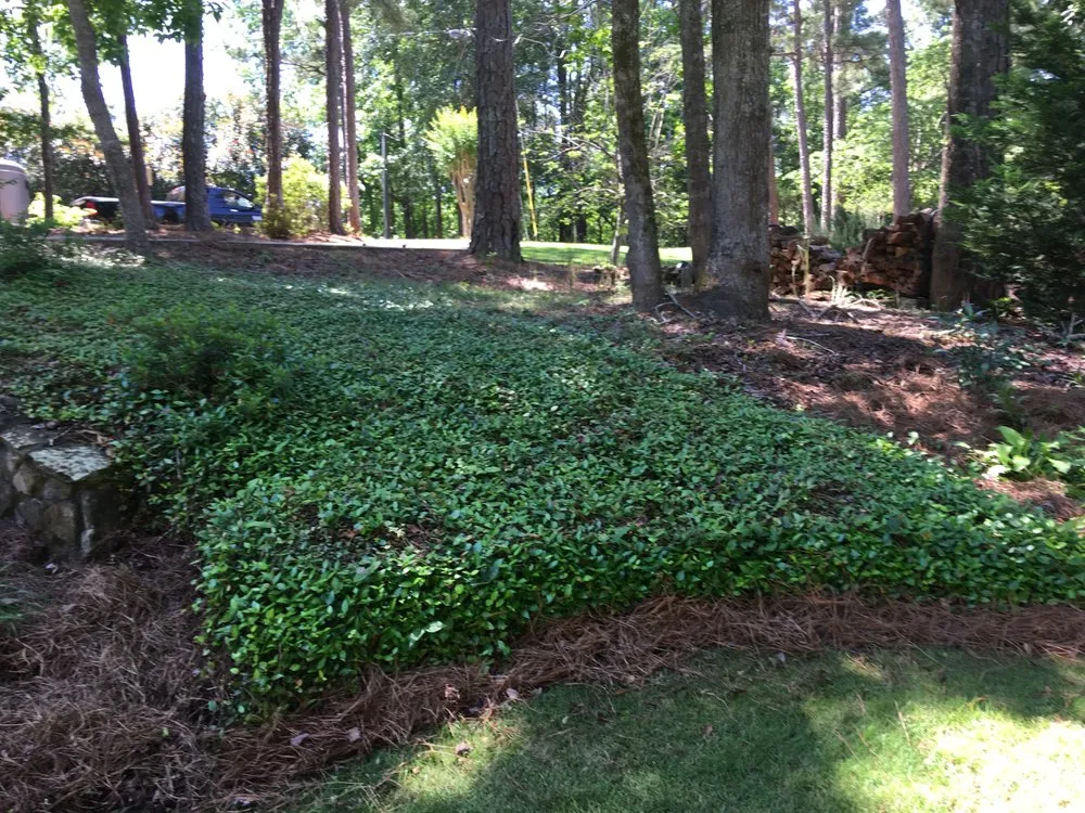 Custom yard maintenance in Salem, AL by Mitchell's Lawn Care