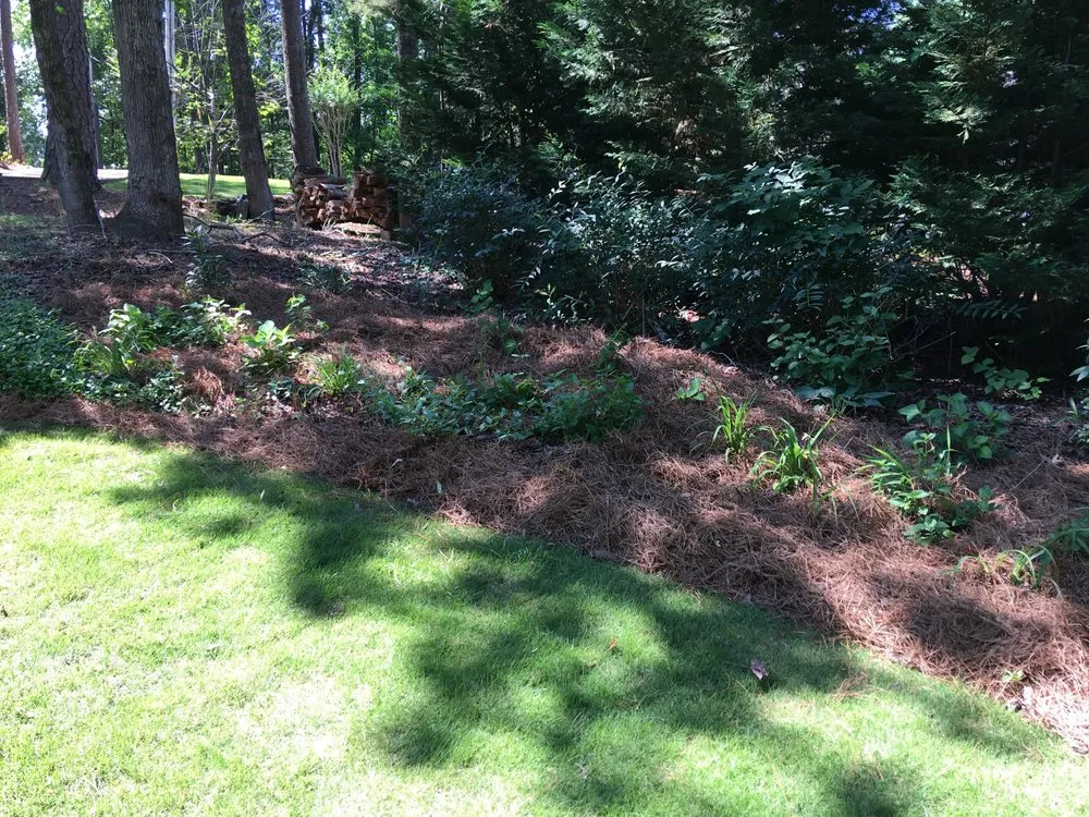 Top-rated residential landscaping in Salem, AL by Mitchell's Lawn Care