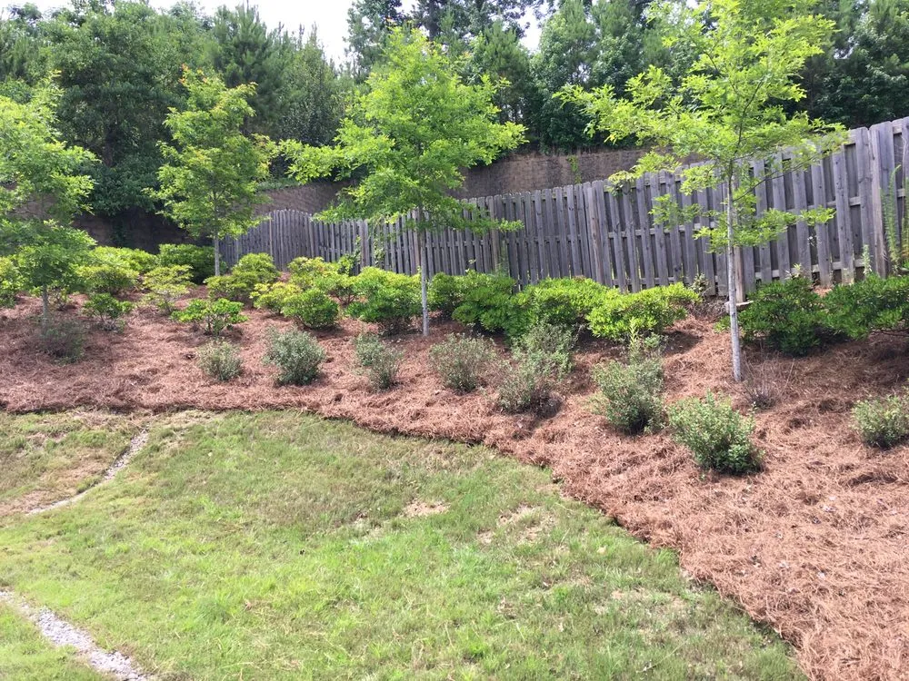 Trusted landscape design for year-round maintenance across Salem, AL - Mitchell's Lawn Care