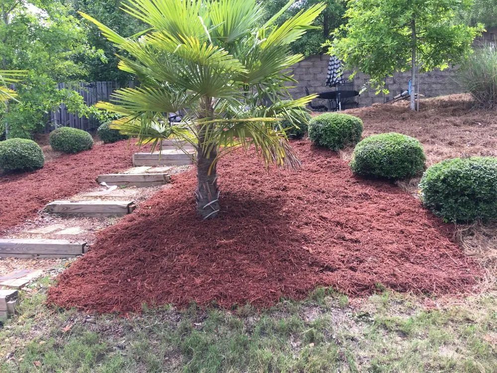 Trusted lawn mowing service for homes across Salem, AL - Mitchell's Lawn Care