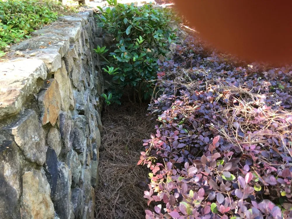 Affordable residential landscaping in Salem, AL by Mitchell's Lawn Care