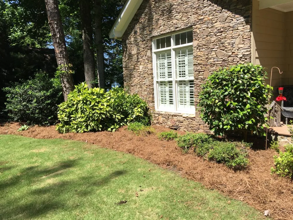 Trusted yard cleanup service in Salem, AL by Mitchell's Lawn Care