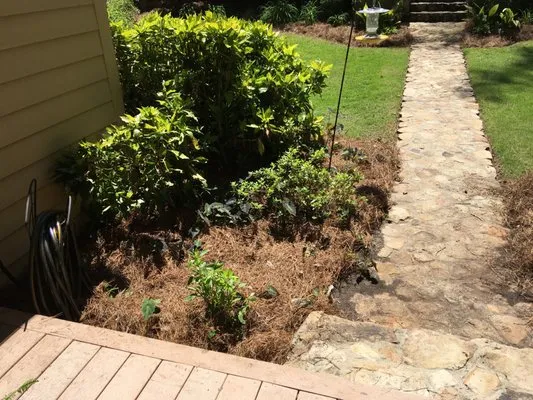 Mitchell's Lawn Care
