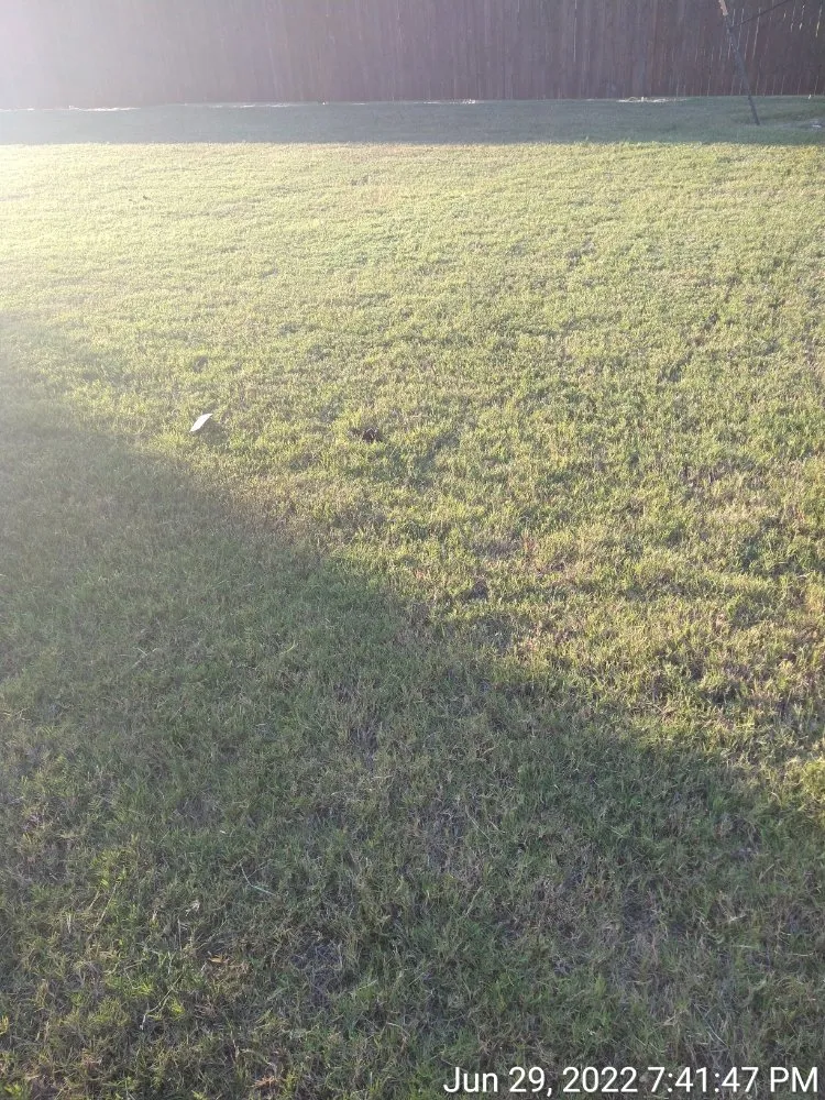 Local lawn mowing service for residential properties in Dallas, TX by Mitchells Lawn Care Tree Service