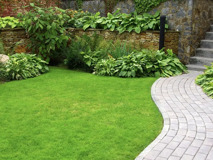 Custom outdoor landscaping experts serving Dallas, TX - Mitchells Lawn Care Tree Service