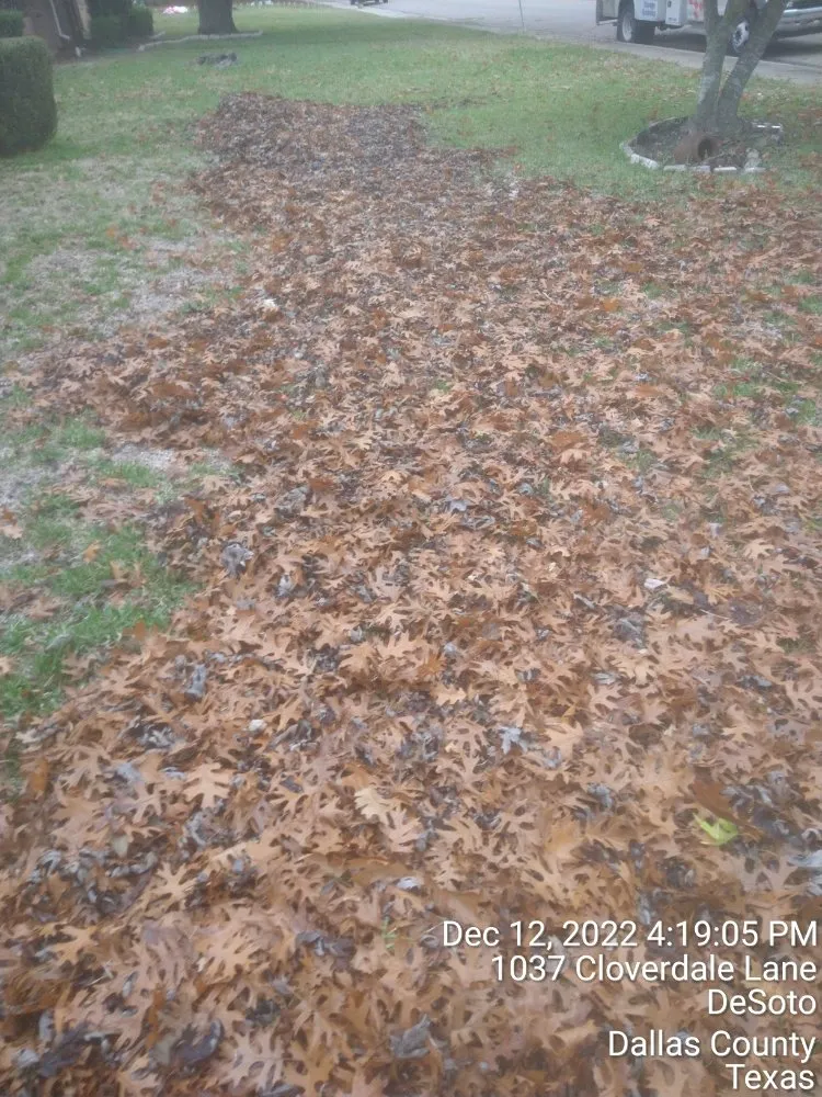 Local landscaping services near you across Dallas, TX - Mitchells Lawn Care Tree Service