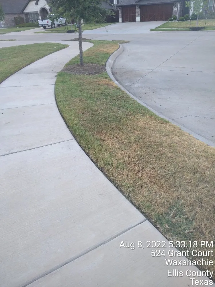 Expert yard cleanup service for beautiful yards in Dallas, TX by Mitchells Lawn Care Tree Service