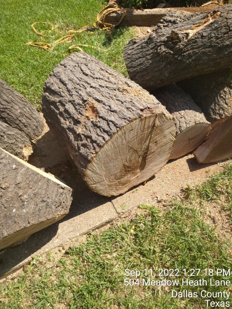 Local landscape design for beautiful yards across Dallas, TX - Mitchells Lawn Care Tree Service