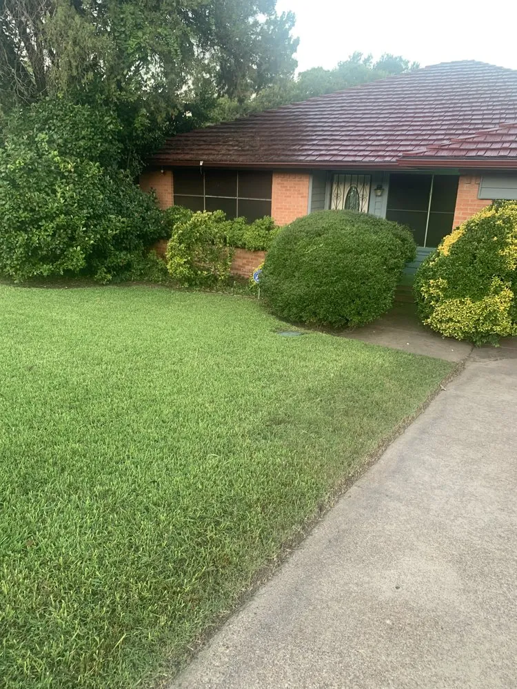 Top-rated landscaping services for year-round maintenance in Dallas, TX by Mitchells Lawn Care Tree Service