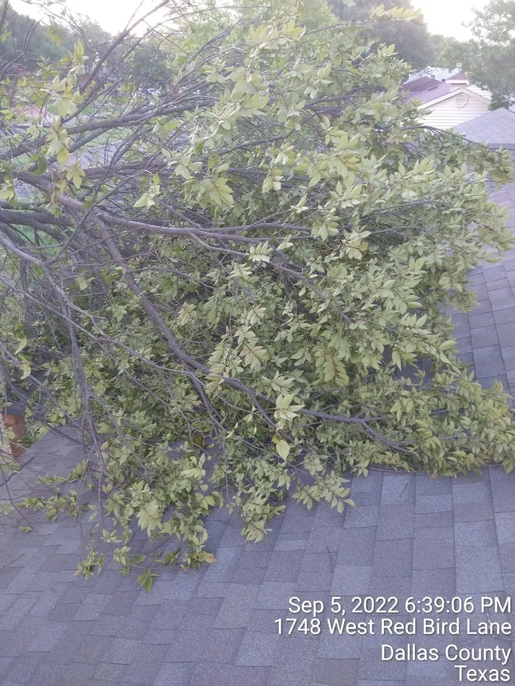 Expert landscape installation in Dallas, TX by Mitchells Lawn Care Tree Service