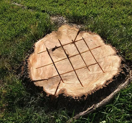 Custom outdoor landscaping experts serving Dallas, TX - Mitchells Lawn Care Tree Service