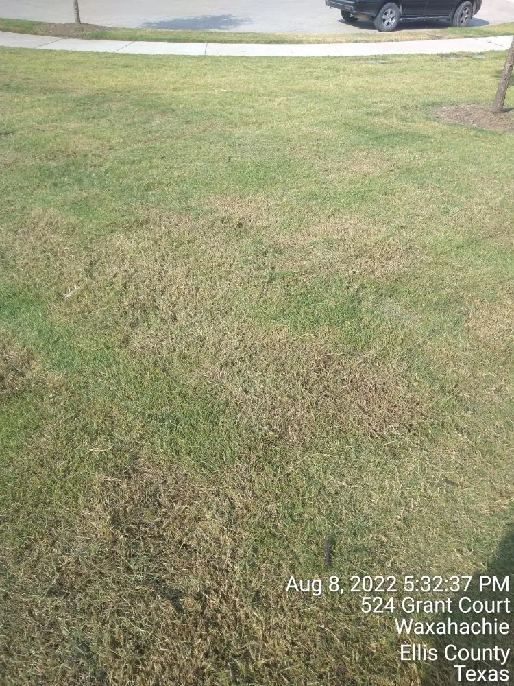 Professional lawn care service for outdoor upgrades in Dallas, TX by Mitchells Lawn Care Tree Service