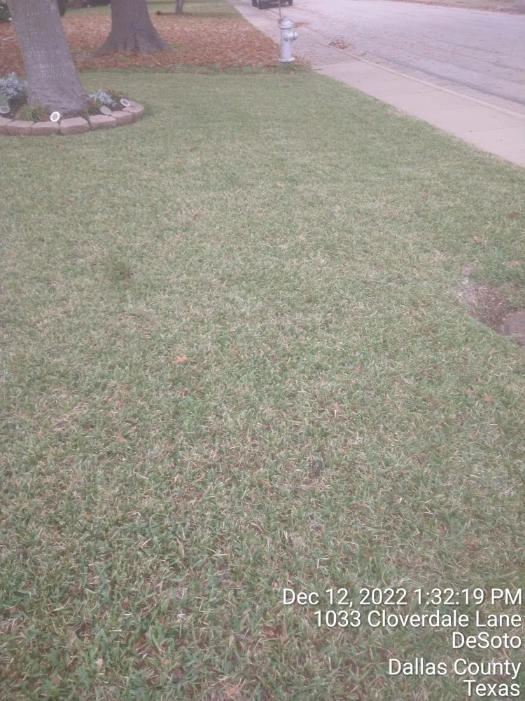 Top-rated landscape installation near you across Dallas, TX - Mitchells Lawn Care Tree Service