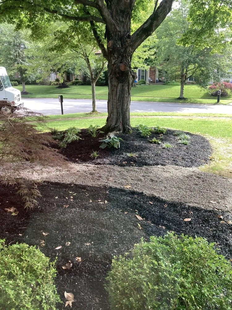 Local landscape installation with custom design in Jeffersontown, KY by Mitchell’s Manicured Landscapes