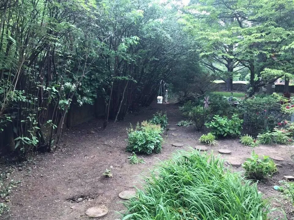 Reliable lawn care service in Jeffersontown, KY - Mitchell’s Manicured Landscapes