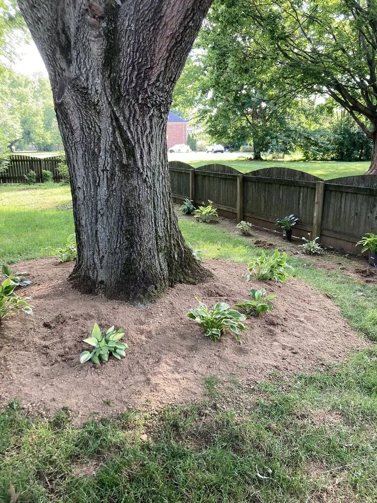 Top-rated residential landscaping experts serving Jeffersontown, KY - Mitchell’s Manicured Landscapes