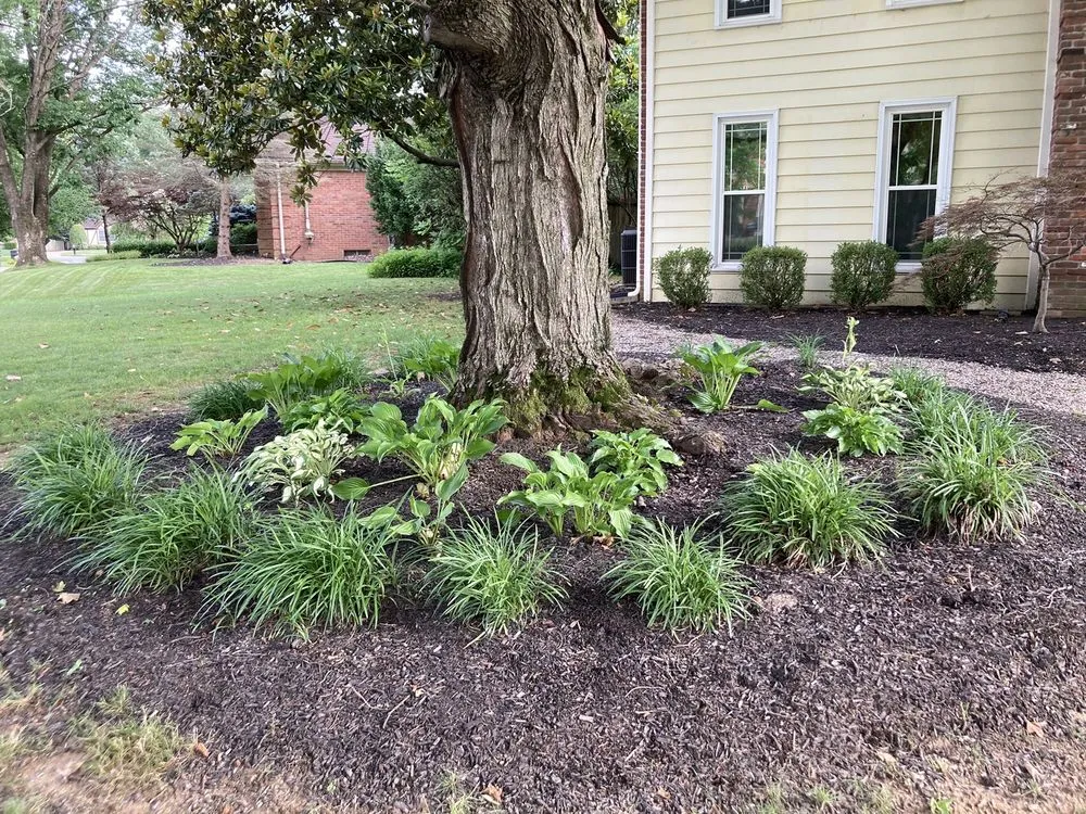 Local outdoor landscaping for year-round maintenance in Jeffersontown, KY by Mitchell’s Manicured Landscapes