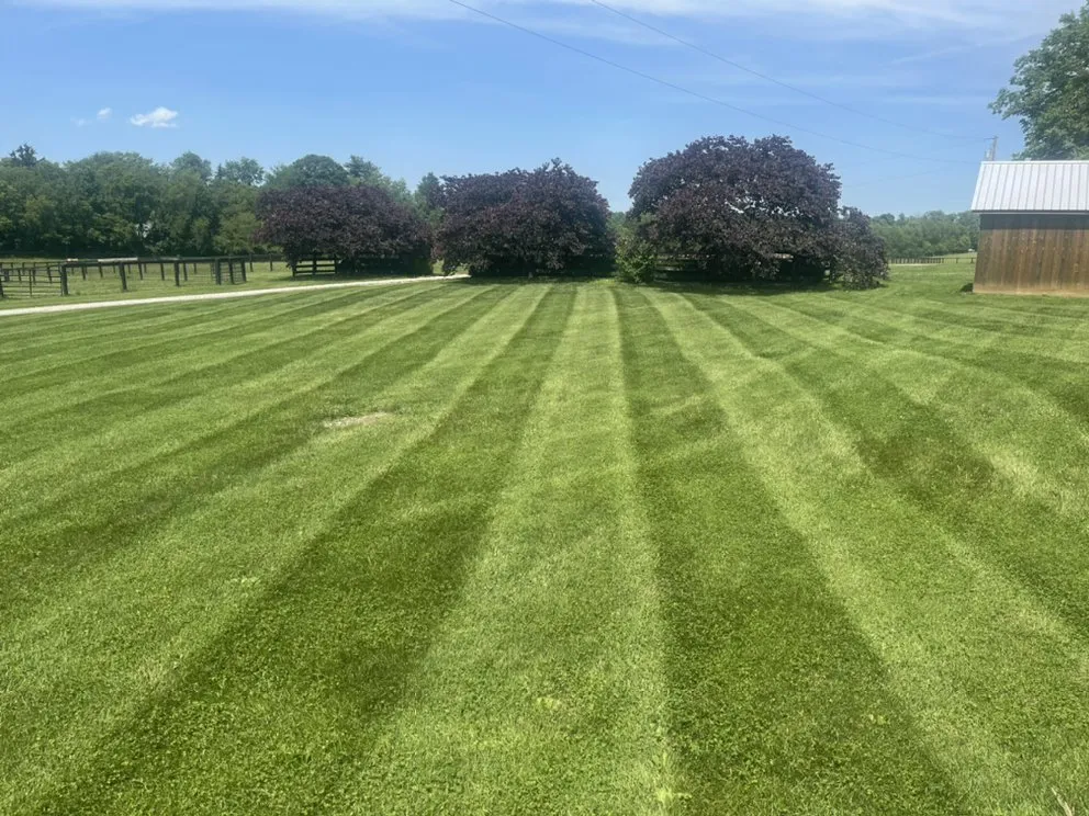 Local residential landscaping for year-round maintenance across Cynthiana, KY - Mitchell's Manicured Lawns