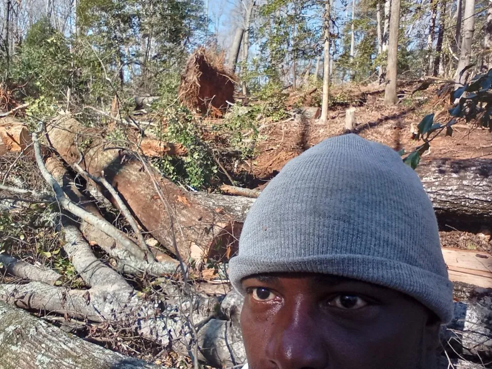 Professional lawn care service for residential properties across Piedmont, SC - Mitchell's Tree And Landscaping And Remodeling