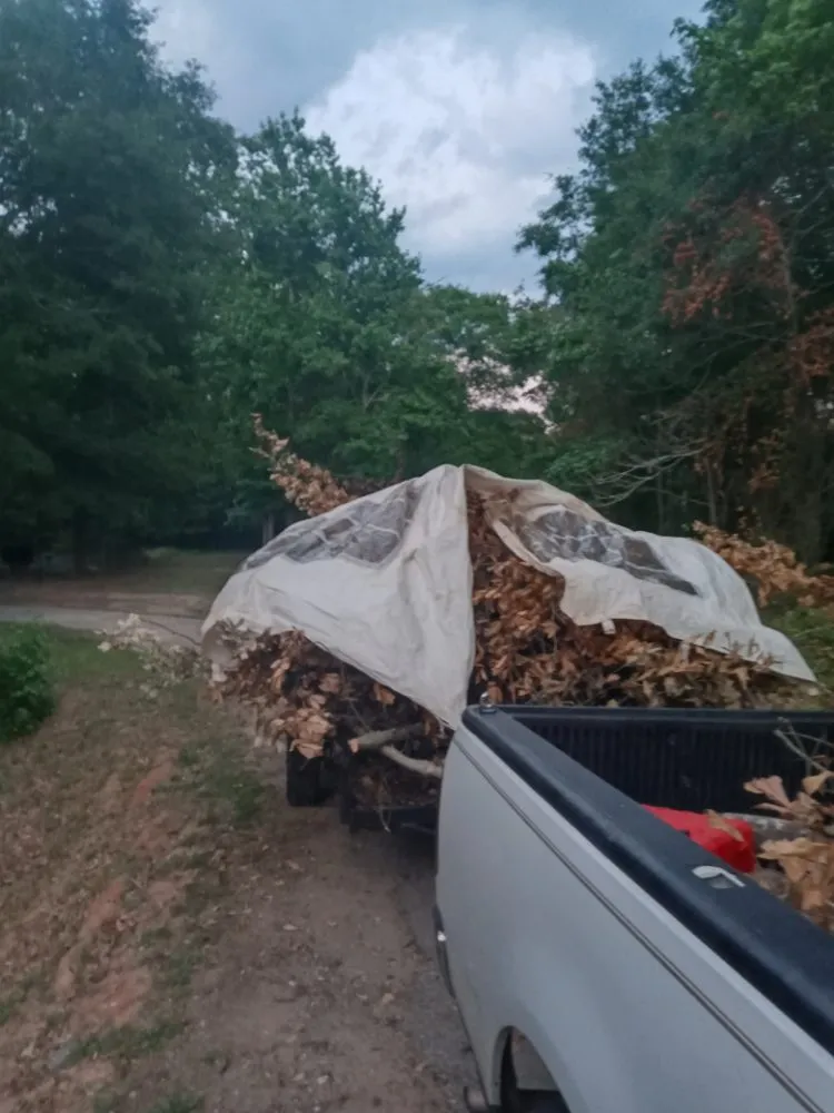 Trusted yard cleanup service in Piedmont, SC - Mitchell's Tree And Landscaping And Remodeling