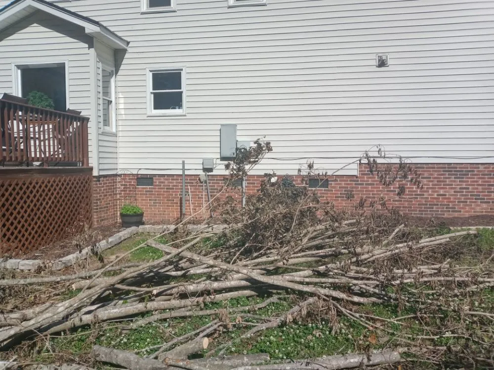 Expert landscaping services in Piedmont, SC by Mitchell's Tree And Landscaping And Remodeling