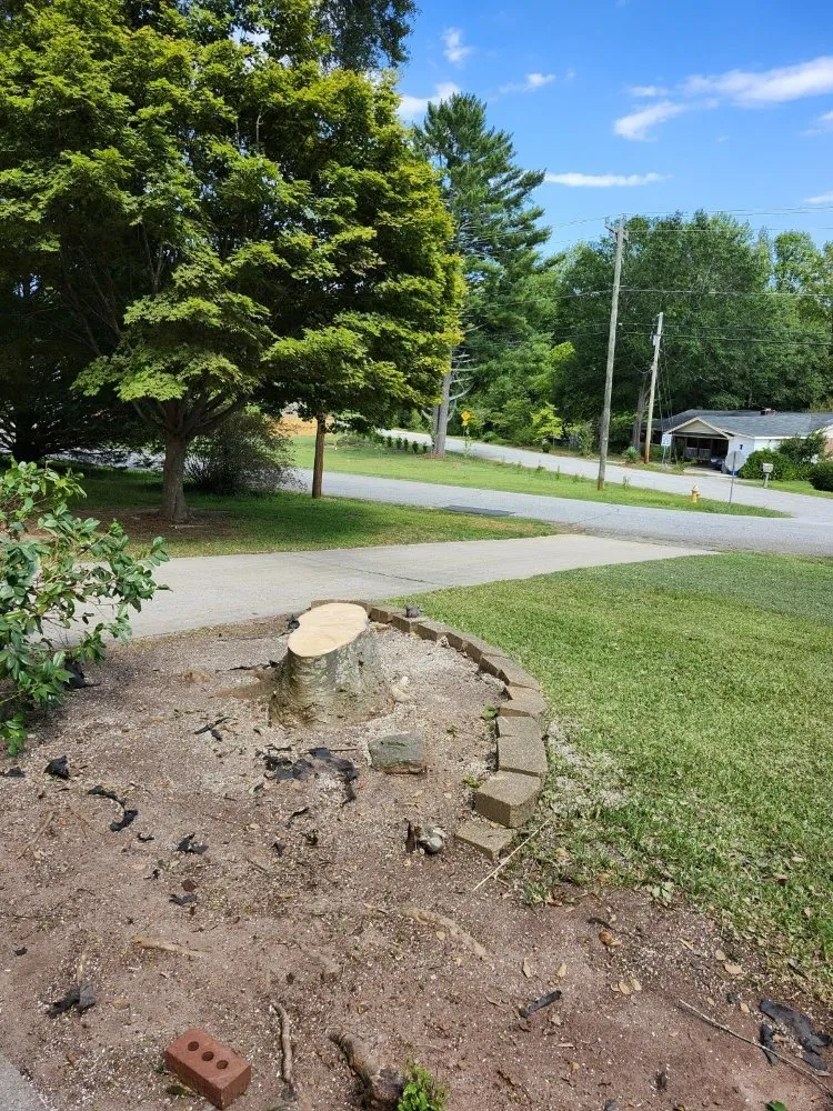 Expert residential landscaping near you in Piedmont, SC by Mitchell's Tree And Landscaping And Remodeling