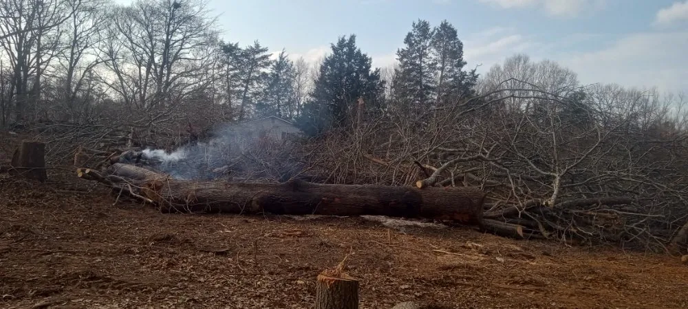 Affordable garden landscaping experts serving Piedmont, SC - Mitchell's Tree And Landscaping And Remodeling