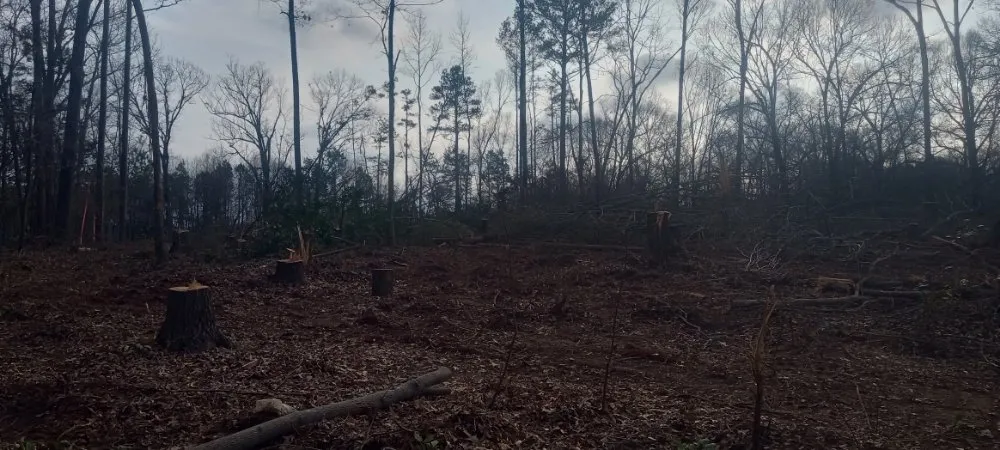 Local residential landscaping in Piedmont, SC - Mitchell's Tree And Landscaping And Remodeling