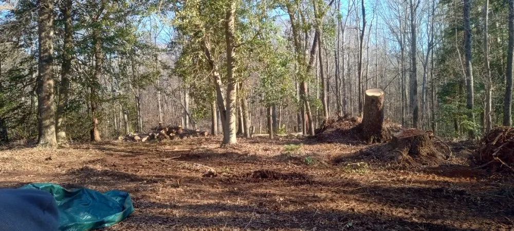 Top-rated yard maintenance in Piedmont, SC by Mitchell's Tree And Landscaping And Remodeling