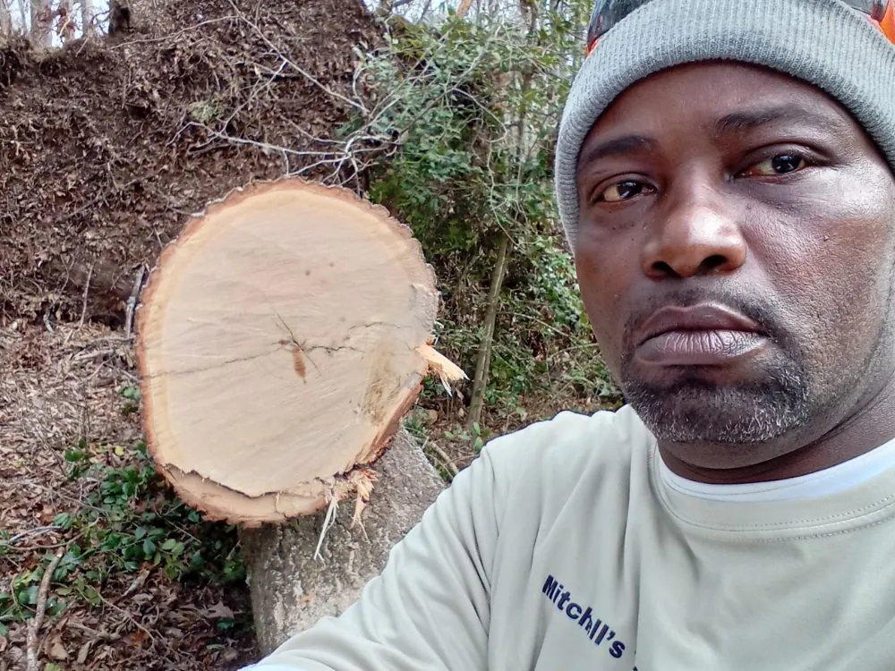 Trusted lawn care service near you in Piedmont, SC by Mitchell's Tree And Landscaping And Remodeling