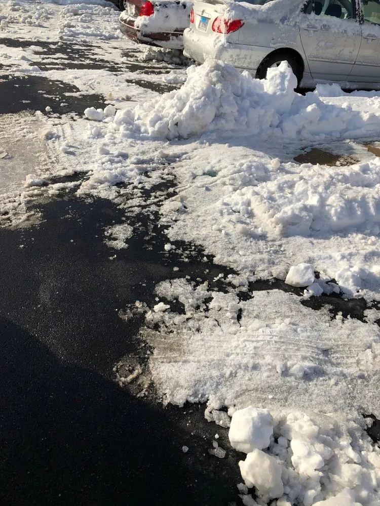 Reliable yard cleanup service in Spring Grove, IL - Mitch's Green Thumb Landscaping