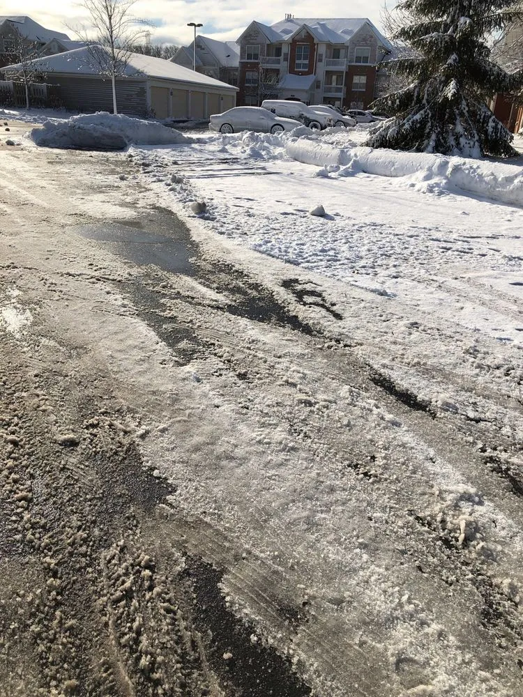 Top-rated garden landscaping experts serving Spring Grove, IL - Mitch's Green Thumb Landscaping