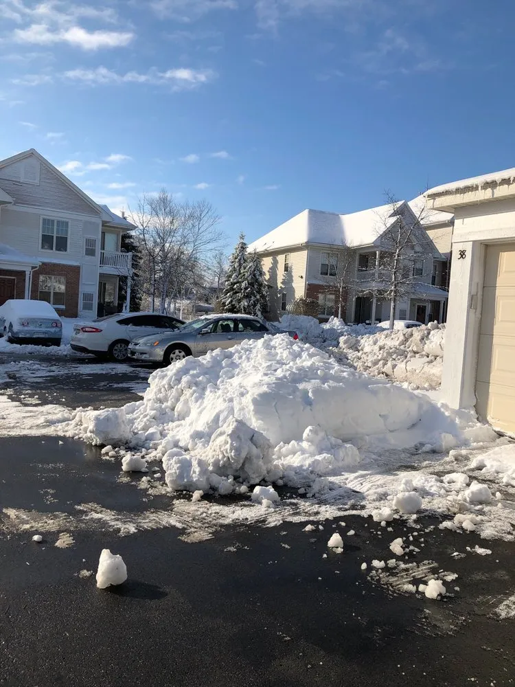 Reliable landscaping services for beautiful yards across Spring Grove, IL - Mitch's Green Thumb Landscaping