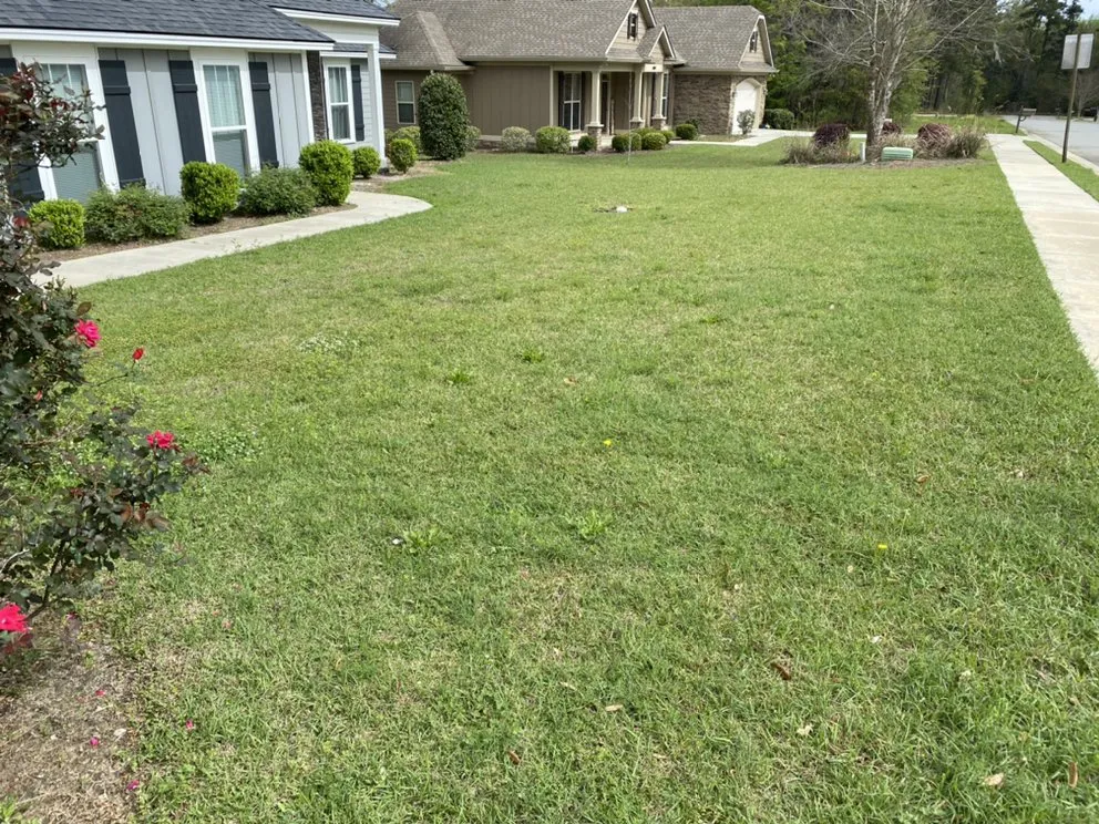 Trusted garden landscaping experts serving Ray City, GA - Mitch’s Lawn Care