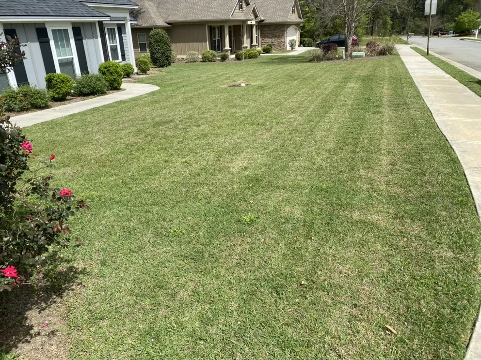 Top-rated outdoor landscaping in Ray City, GA by Mitch’s Lawn Care