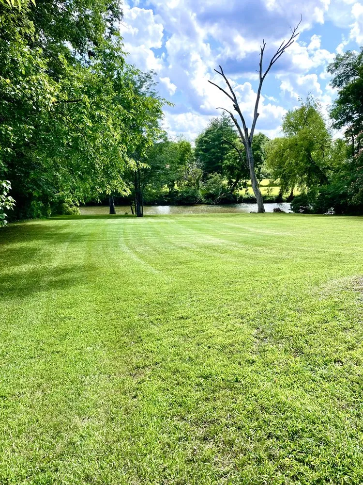 Professional yard maintenance in Washburn, TN - Mitch's Mowing