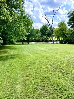 Mitch's Mowing Logo
